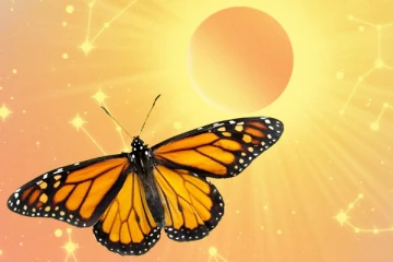 வீட்டிற்குள் மஞ்சள் நிற வண்ணத்துப்பூச்சி வந்தால் என்ன நடக்கும்?