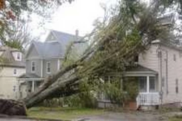 அட்லாண்டிக் கனடாவை புரட்டிப்போட்ட புயல் காற்று