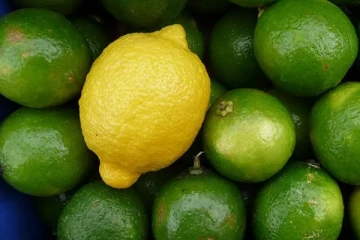 இலங்கையில் எகிறும் தேசிக்காய் விலை!