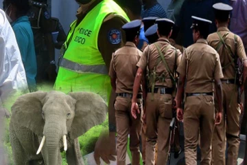 காட்டு யானை தாக்கி இளம் குடும்பஸ்தர் ஒருவர் மரணம்!