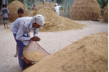 වී සහ සහල් සම්බන්ධයෙන් මහින්ද තීරණයක් ගනී..