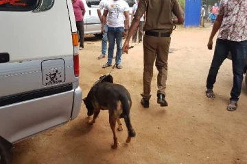 வவுனியாவில் பட்டப்பகலில் வீடொன்றில் இடம்பெற்ற கொள்ளை சம்பவம்