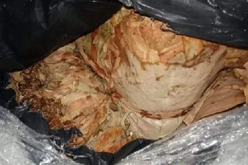 புத்தளத்தில் கடற்படையிடம் சிக்கிய 477 கிலோகிராம் பீடி இலைகள் (Photos)