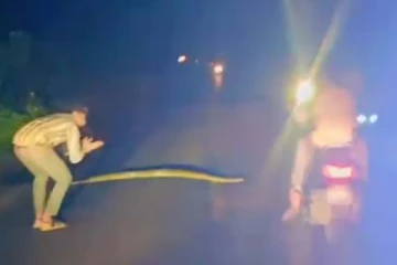 நள்ளிரவில் மலைப்பாம்புக்கு உதவி செய்த நபர்... பயத்தை ஏற்படுத்தும் பகீர் காட்சி