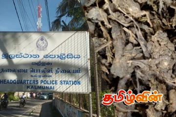 அம்பாறையில் கேரள கஞ்சா வைத்திருந்த நபர் கைது