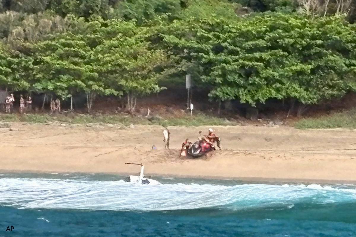 survived pilot said about hawaii helicopter crash