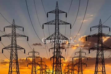 දකුණට විදුලිය දෙන්න ගිහින් තේ වත්තක් හරහට හිටලා.