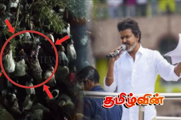 விஜயை நோக்கி செருப்பை வீசிய மர்ம நபர் யார்.. வெளியானது காணொளி!