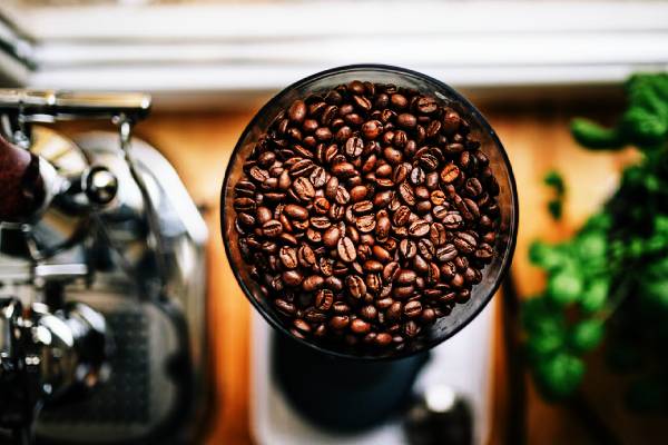 அடத்தியான முடி வளர்ச்சிக்கு காபி தூளை இப்படி ஒரு வாட்டி பயன்படுத்தி பாருங்க...! | Best Coffee Powder For Apply Hair Growth Oil