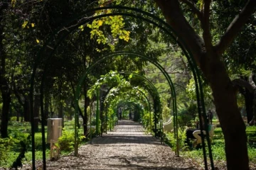 50 ஏக்கரில் உருவாக உள்ள நகர்ப்புற வனம் - சென்னையில் எங்கு தெரியுமா?