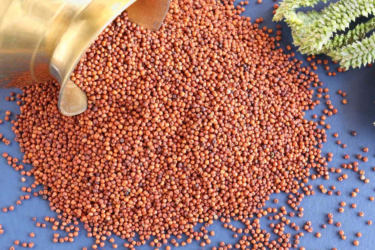 எலும்பு இரும்பு மாதிரி வலுவாக இருக்க வேண்டுமா? இதை மட்டும் சாப்பிடுங்க | Whici Foods Eat To Increase Bone Density