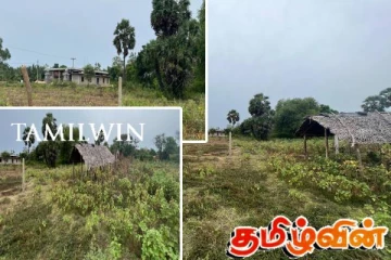 முல்லைத்தீவு ஒட்டுச்சுட்டான் பிரதேச செயலகத்தின் நடவடிக்கை : அநுர அரசின் கவனத்திற்கு