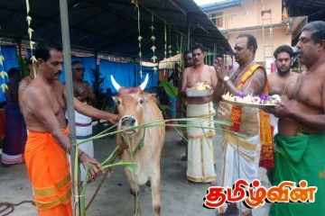 நாடளாவிய ரீதியில் நடைபெற்ற பட்டிப் பொங்கல் விழா