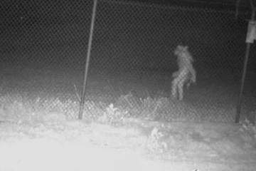 கேமராவில் சிக்கிய ஏலியன் உருவம்? ஆபத்தின் அறிகுறியா....? தீயாய் பரவும் புகைப்படம்!