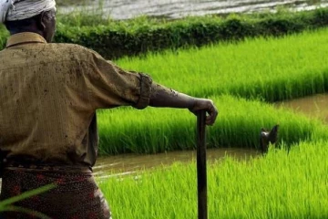 நெல் விற்க காத்திருக்கும் விவசாயிகளுக்கு வெளியான அறிவிப்பு