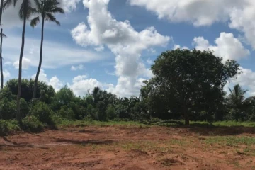 தாயகத்தில் காணி வாங்கும் புலம்பெயர் தமிழர்கள் அவதானம்; மாட்டிக்கொள்ளாதீர்கள்!