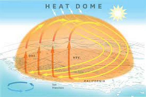 அமெரிக்காவின் வெப்ப அலை கனடாவை பாதிக்குமா? ஆய்வாளர் தகவல் | Us Heat Dome Canada Extreme Temperature