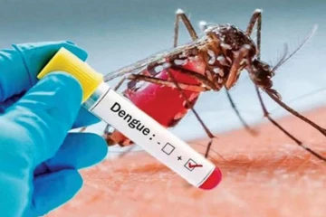 ඩෙංගු මරණ සංඛ්‍යාව 69ට නගී - ඩෙංගු අධි අවදානම් කලාප මෙන්න