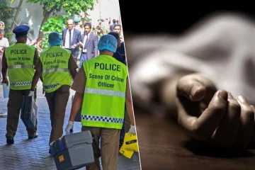 ஏணியிலிருந்து தவறி வீழ்ந்த 63 வயது பெண் உயிரிழப்பு