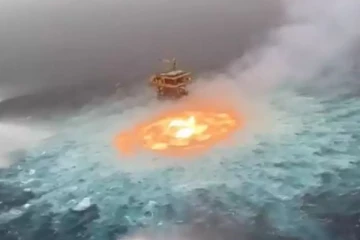 கடலுக்கு அடியில் பயங்கரம்.. பரபரப்பு வீடியோ!