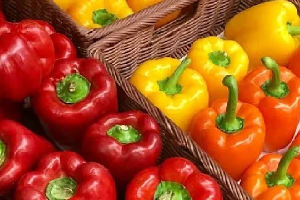 இந்த காய்கறிகளை எப்போதும் சமைக்காம சாப்பிடவே கூடாதாம் | These Vegetables Should Never Be Eaten Uncooked
