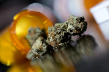 இலங்கையில் சட்ட ரீதியாக அங்கீகரிக்கப்படவுள்ள கஞ்சா