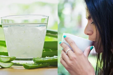 நீரிழிவு நோய் முதல் உடல் எடை குறைப்பு வரை! கற்றாழையில் ஒளிந்திருக்கும் மருத்துவம்