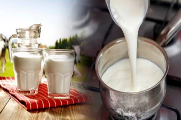 மாட்டு பாலை போன்று பாக்கெட் பாலையும் கொதிக்க வைக்கணுமா?