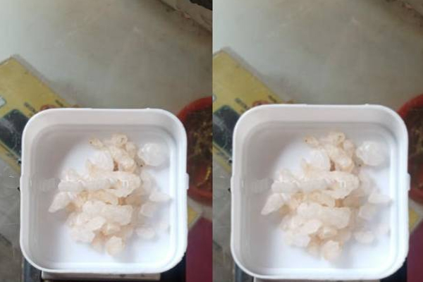 யாழ்.ஏழாலையில் சகோதரர்கள் இருவர் அதிரடி கைது! சிக்கிய மர்மம் | Jaffna Chunnakam Erlalai Ice Drug Arrest Suspects