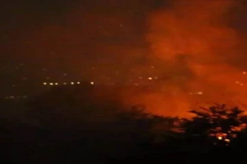 திருவண்ணாமலை தீபம்; தீ பிடித்து எரிந்த மலைப்பாதை - பக்தர்கள் அதிர்ச்சி