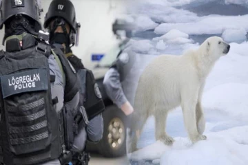 8 ஆண்டுகளுக்குப் பின் ஐஸ்லாந்தில் தென்பட்ட துருவக் கரடியை சுட்டுக் கொன்ற பொலிஸார்