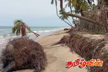 கடலரிப்பு அச்சுறுத்தல்:நிந்தவூரில் பாதிக்கப்பட்ட கடற்றொழிலாளர்கள் சிரமம்