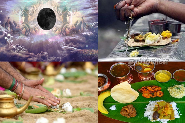 புலம் பெயர் நாடுகள் - தாயகத்தில் 2023 ஆடி அமாவாசை விரதம் ஒரே நாளில் (Video) | Aadi Amavasai 2023