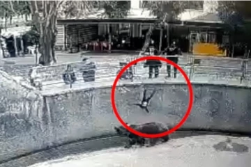 கரடி குழிக்குள் குழந்தையை தூக்கி எறிந்த தாய்! பதறவைக்கும் வீடியோ...