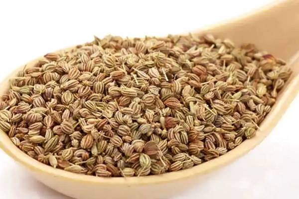 பராட்டா சாப்பிட்டவுடன் வாயு தொல்லை வர கூடாதா? இதை மாவில் கலந்து விடுங்க | Get Gas After Eating Paratha Mix This With Flour பராட்டா சாப்பிட்டவுடன் வாயு தொல்லை வர கூடாதா? இதை மாவில் கலந்து விடுங்க | Get Gas After Eating Paratha Mix This With Flour