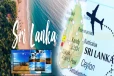 ஒருமுறையாவது செல்ல வேண்டிய இலங்கையின் டாப் 4 கடற்கரைகள்! - என்னென்ன தெரியுமா?