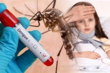 நாட்டில் தீவிரமாக பரவும் டெங்கு: அதிக தொற்றாளர்கள் பதிவான மாதம்