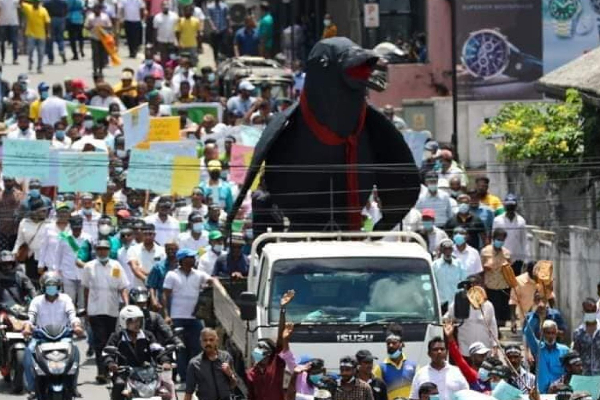 மக்களின் கவனத்தை ஈர்த்த  பாத யாத்திரையில் வரும் மிகப் பெரிய காகம் (Photos) | Crows Patha Yathra Sjb Rally