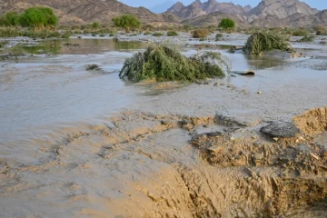 சூடான் வெள்ளப்பெருக்கால் அணை உடைந்து 60 பேர் பலி