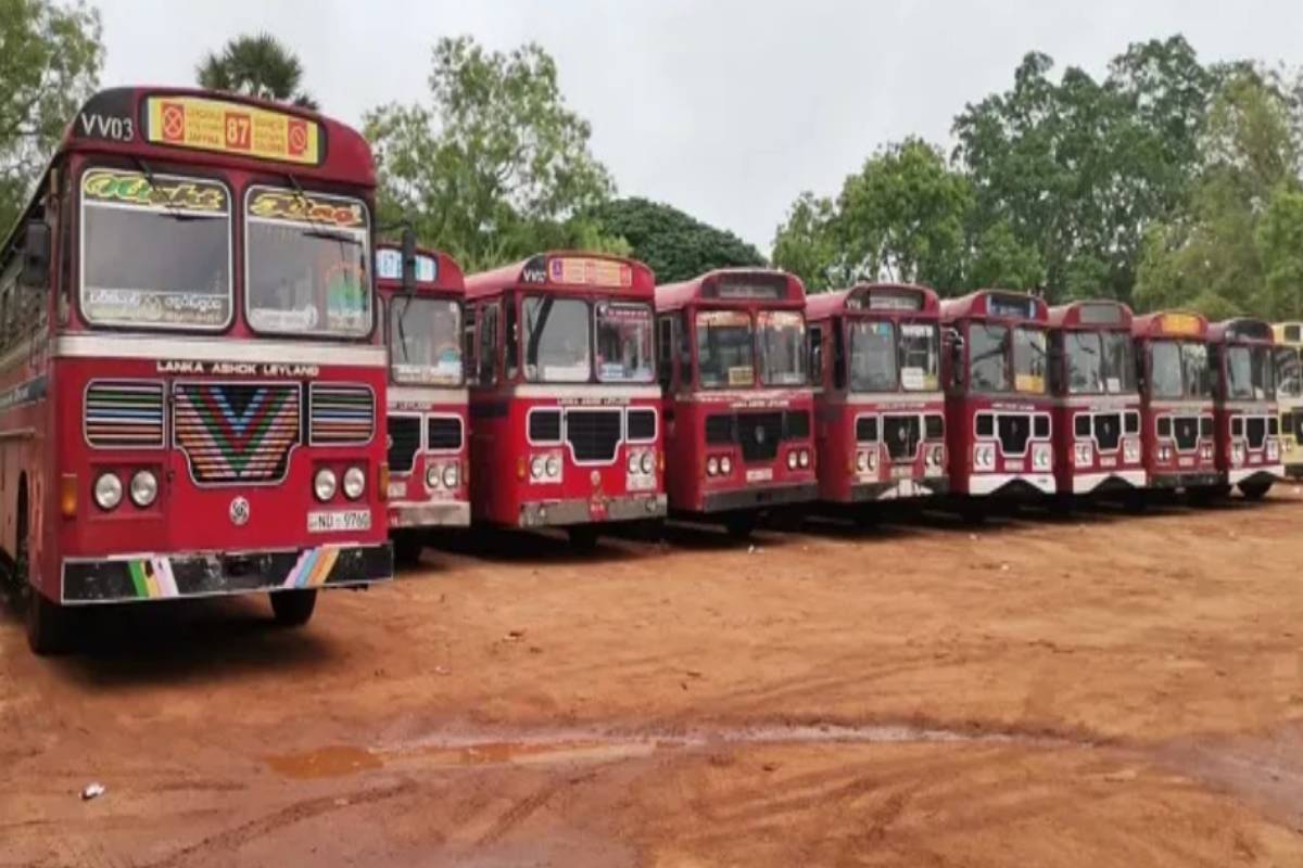 வடக்கில் போக்குவரத்து சேவையை சீர்ப்படுத்த பொதுமக்கள் உதவியை நாடும் அதிகார சபை - விடுக்கப்பட்டுள்ள எச்சரிக்கை | Transportation Service In The North வடக்கில் போக்குவரத்து சேவையை சீர்ப்படுத்த பொதுமக்கள் உதவியை நாடும் அதிகார சபை - விடுக்கப்பட்டுள்ள எச்சரிக்கை | Transportation Service In The North