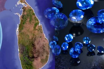 அடுத்த வருடம் இலங்கைக்கு கிடைக்கவுள்ள 500 மில்லியன் டொலர் வருமானம்! அமைச்சர் வெளியிட்ட அறிவிப்பு