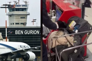 கூடுதல் டிக்கெட்டா; குழந்தையை நீங்களே வச்சிக்கோங்க - ஏர்போர்ட்டில் பெற்றோர் ரகளை!