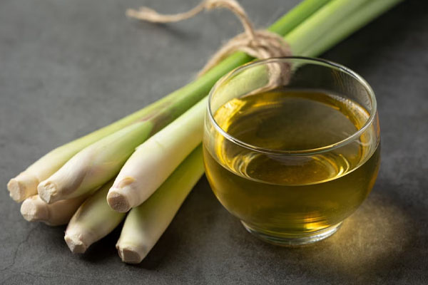 உடலில் உள்ள ரத்தத்தை சுத்தப்படுத்தும் டீ | Tea Cleanses The Blood In The Body