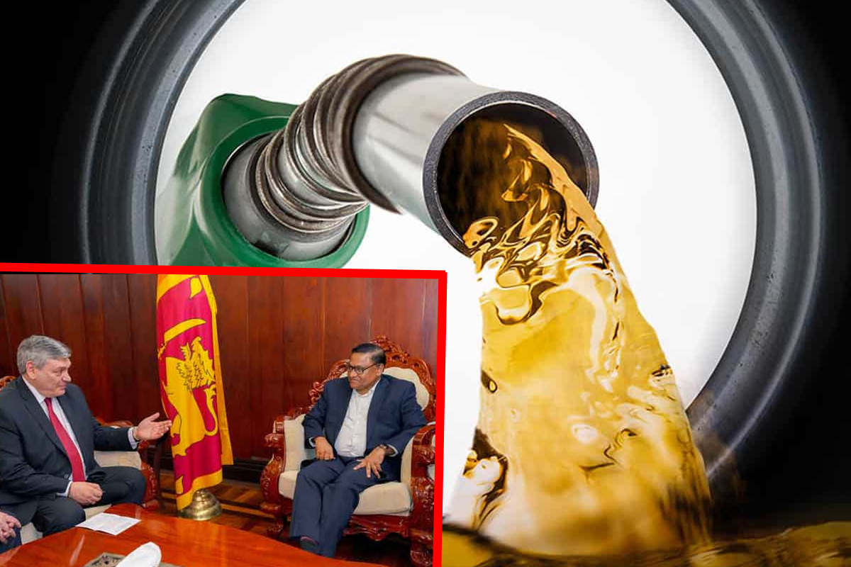 எரிபொருள்; இலங்கைக்கு ரஷ்யா வழங்கிய உறுதிமொழி! | Fuel The Assurance Given By Russia To Sri Lanka
