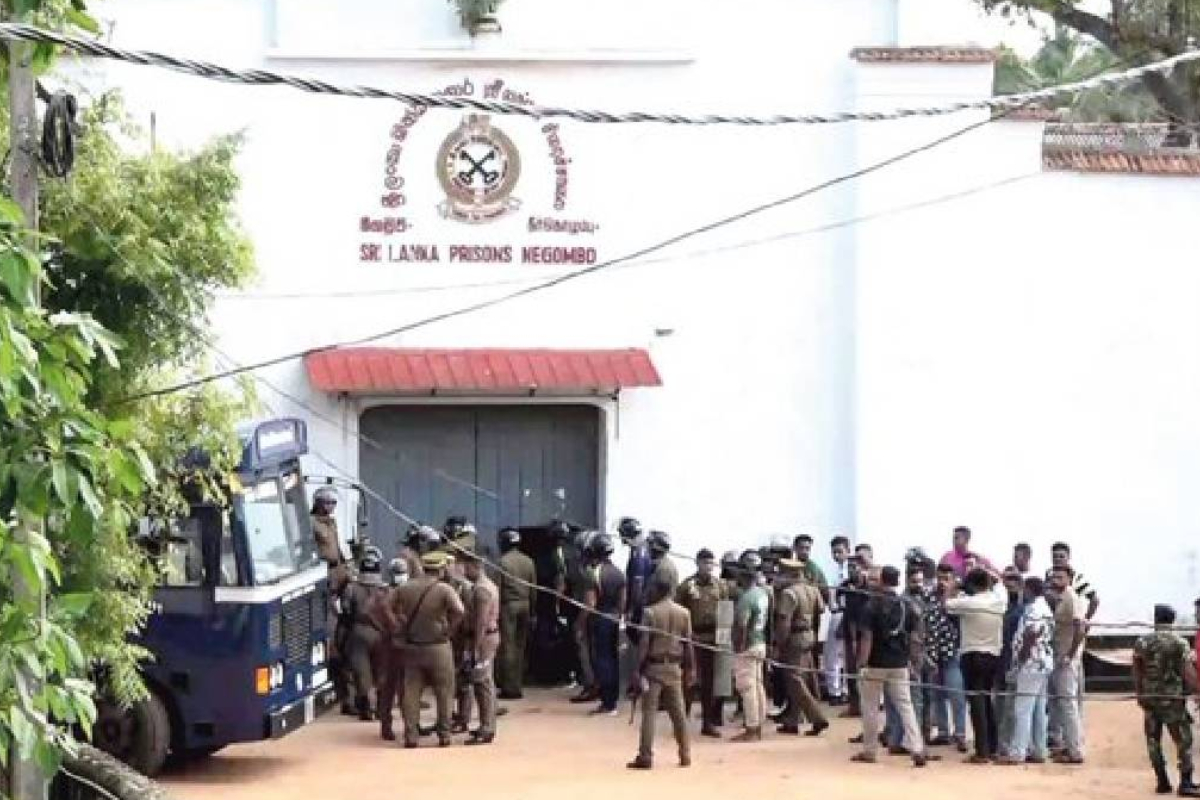 நீர்கொழும்பு சிறைச்சாலையில் வெடித்த வன்முறை : சிறை அதிகாரி வெளியிட்ட தகவல் | Negombo Prison Violence Prison Spokesman Details நீர்கொழும்பு சிறைச்சாலையில் வெடித்த வன்முறை : சிறை அதிகாரி வெளியிட்ட தகவல் | Negombo Prison Violence Prison Spokesman Details