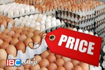 முட்டை விலையில் ஏற்பட்ட மாற்றம் : வெளியானது அறிவிப்பு