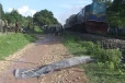 கொலைக்குற்றச்சாட்டு : கிளிநொச்சியில் பிணையில் வெளிவந்தவர் சடலமாக மீட்பு