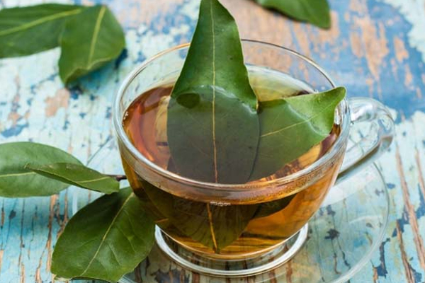 வெறும் வயிற்றில் பிரியாணி இலையில் டீ போட்டு குடித்தால் என்ன நடக்கும்? பலரும் அறியாத உண்மை | Biryani Leaf Tea Benefits In Tamil