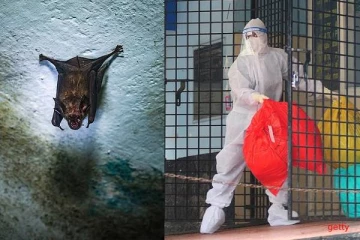 குணப்படுத்த முடியாத.. இந்தியாவில் தீவிரமடையும் வௌவால்களால் பரவும் கொடிய வைரஸ்