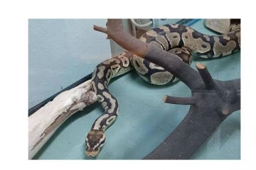 கனேடிய நகரம் ஒன்றில் வீடு ஒன்றிற்கு அழைக்கப்பட்ட பொலிசார்... வீட்டில் காத்திருந்த வித்தியாசமான செய்தி